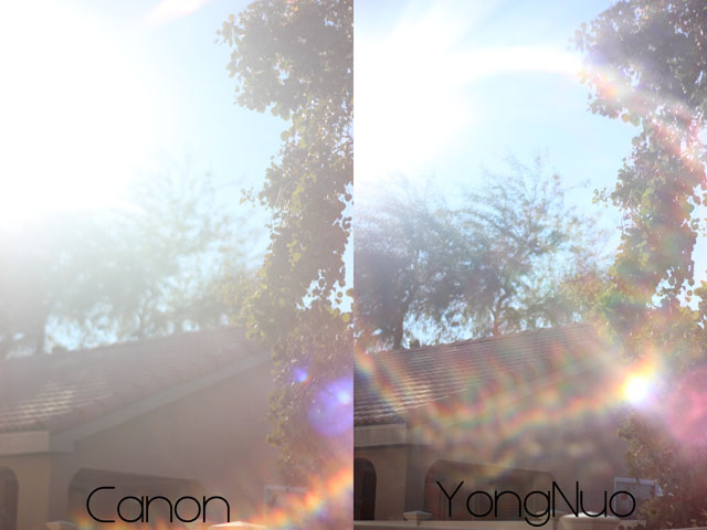 Yongnuo 50 mm 1.8 vs Canon 50 mm 1.8 II контровый свет и блики