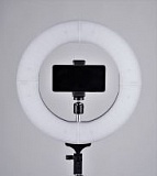 Кольцевой светодиодный осветитель FST LED 12-RL II